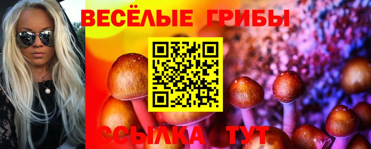 Ноябрьск  Галлюциногенные грибы ЛСД  Галлюциногенные грибы ЛСД  Вход с VPN 
